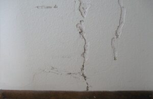 termite damage in sheetrock