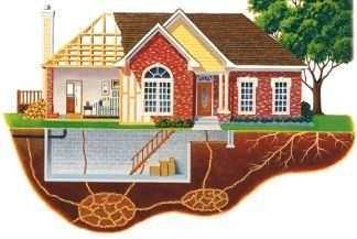 termite tunnels under house pic